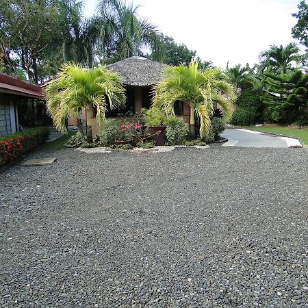 Susan'S Place Bed And Breakfast 公主港 外观 照片