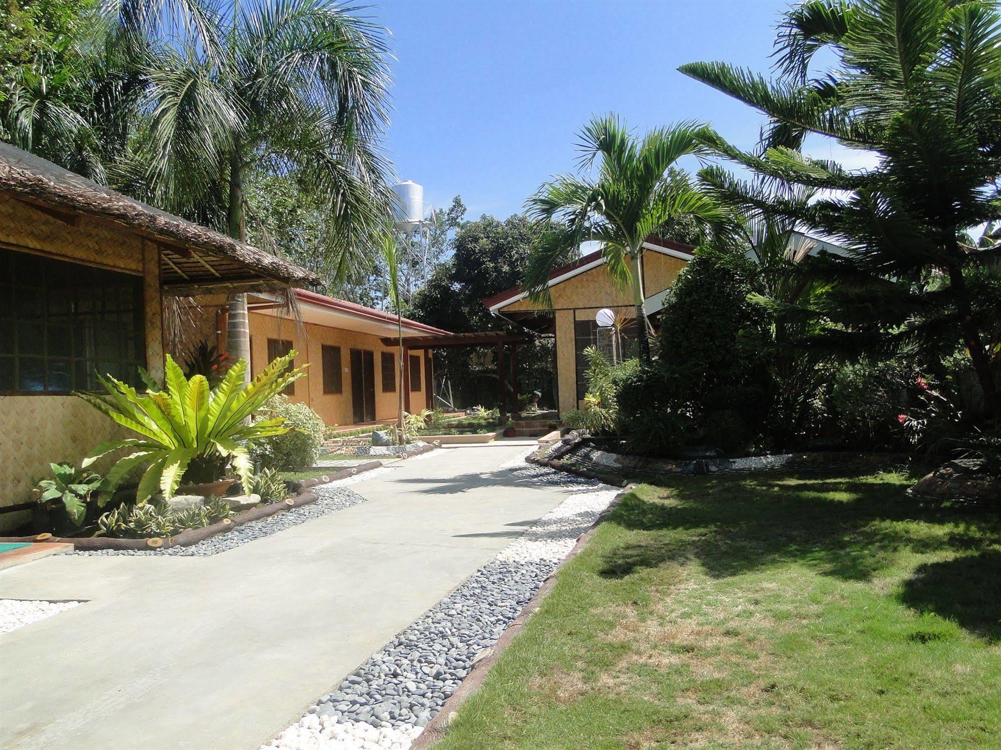 Susan'S Place Bed And Breakfast 公主港 外观 照片